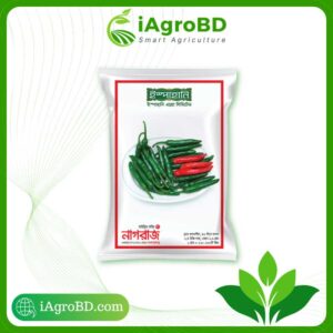 নাগরাজ (Nagraj) hybrid Seeds - iAgroBD